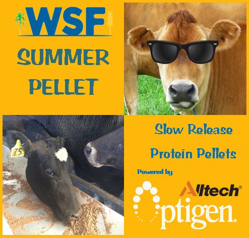 New Summer Pellet oozes Nitrogen